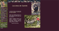 Desktop Screenshot of les-anes-de-camille.com