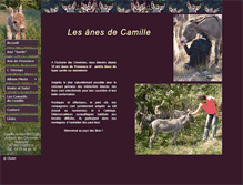 Tablet Screenshot of les-anes-de-camille.com